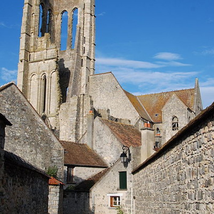 Photo de Basilique Saint-Mathurin de Larchant
