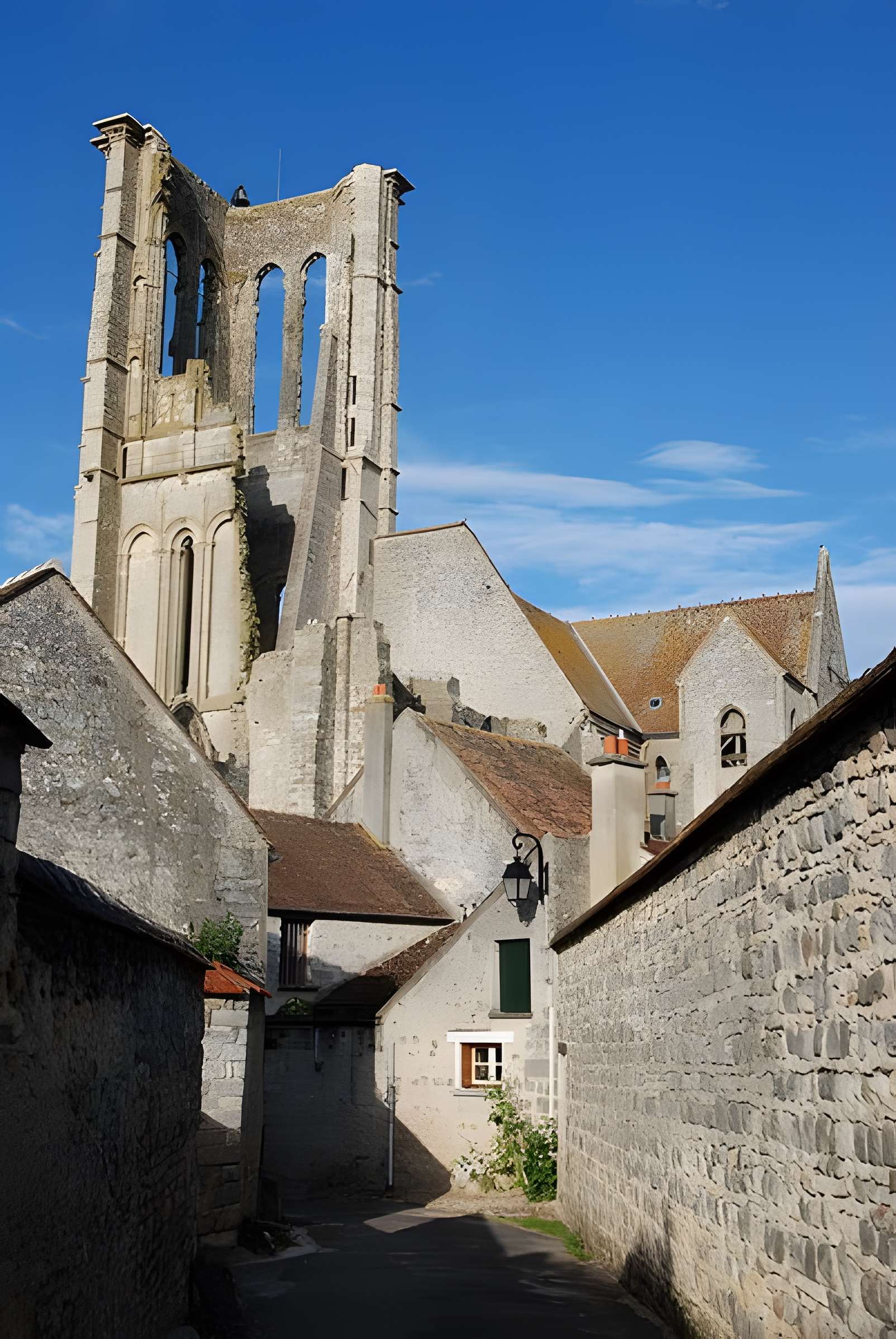 Basilique Saint-Mathurin de Larchant 