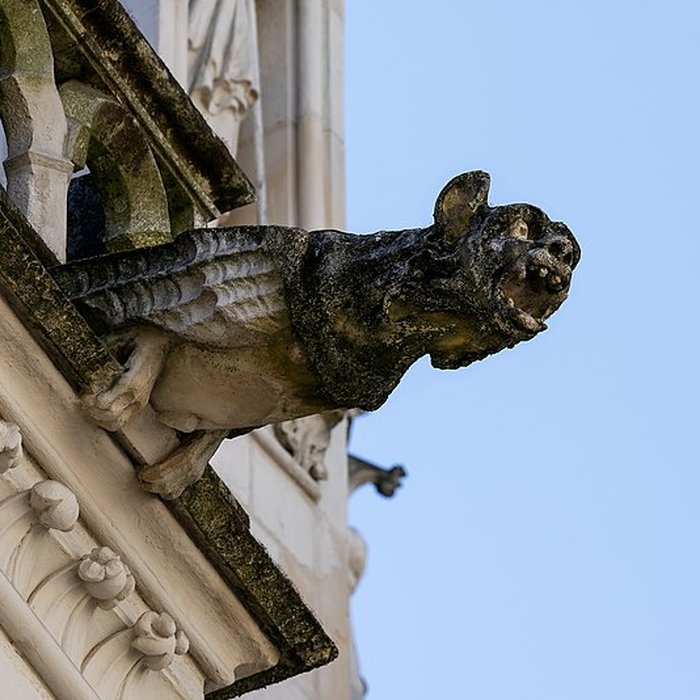 Photo de Basilique Saint-Nicolas de Nantes