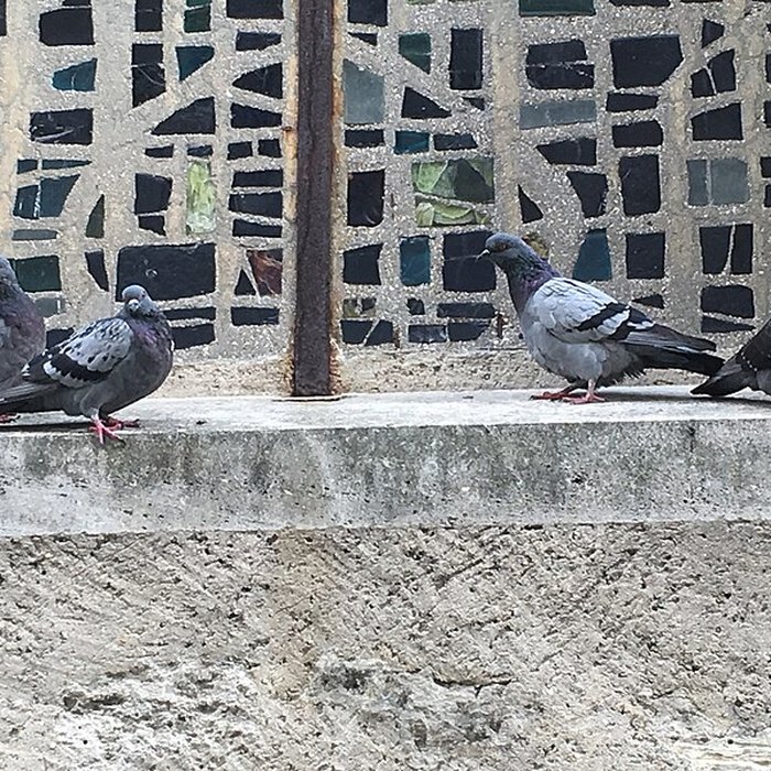 Photo de Église Saint-Nicolas du Bourget