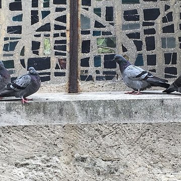 Église Saint-Nicolas du Bourget