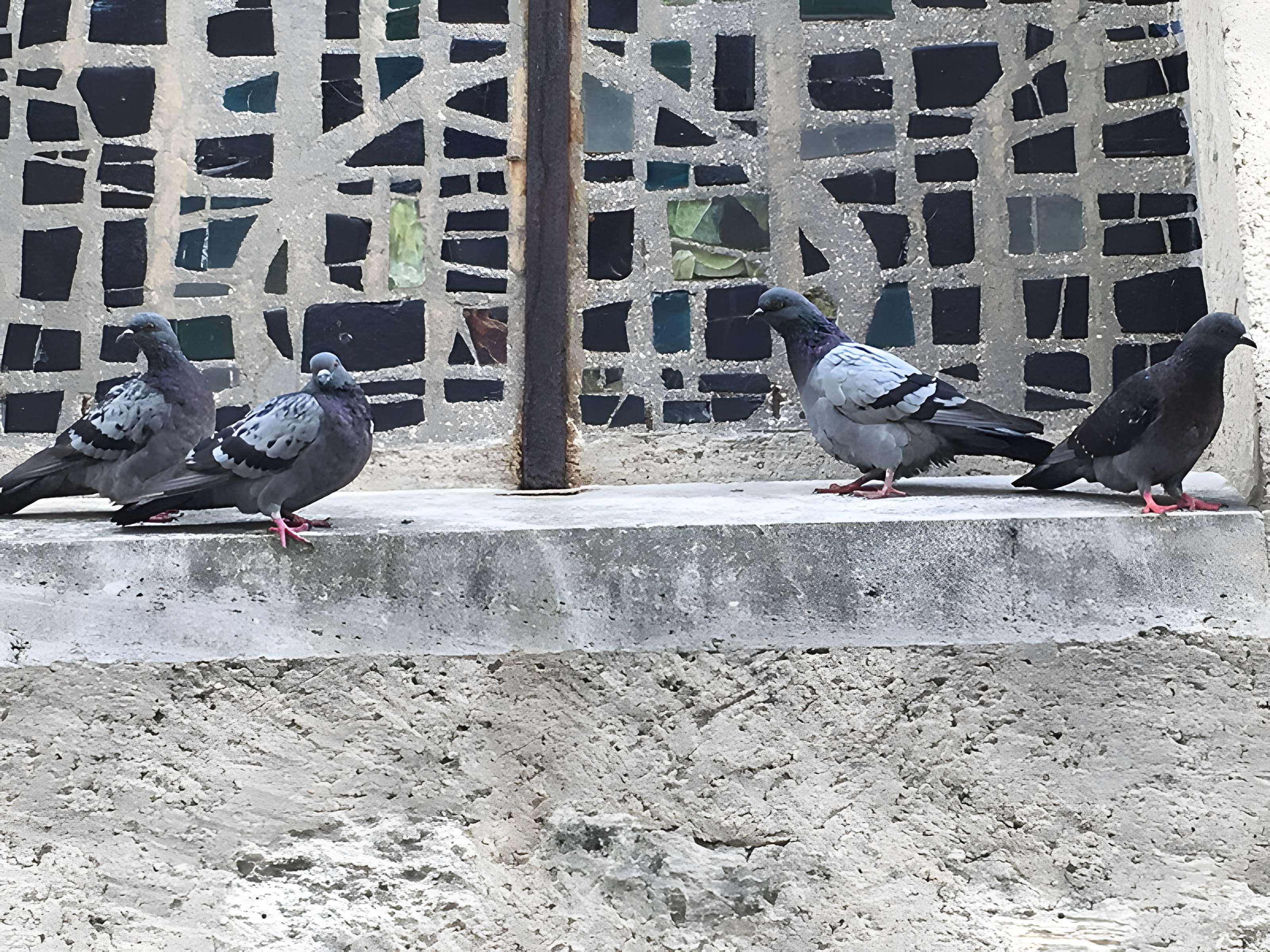 Église Saint-Nicolas du Bourget