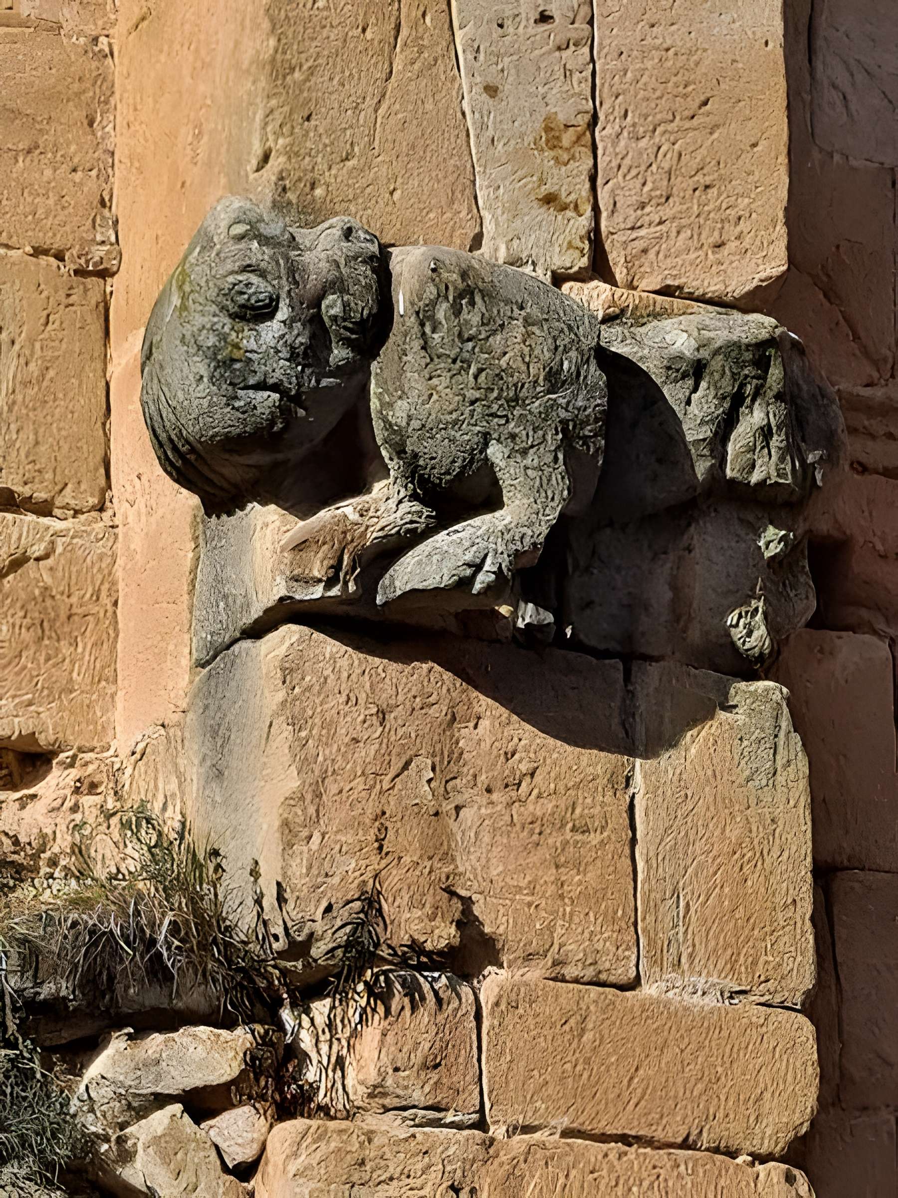 Abbaye d'Alet-les-Bains