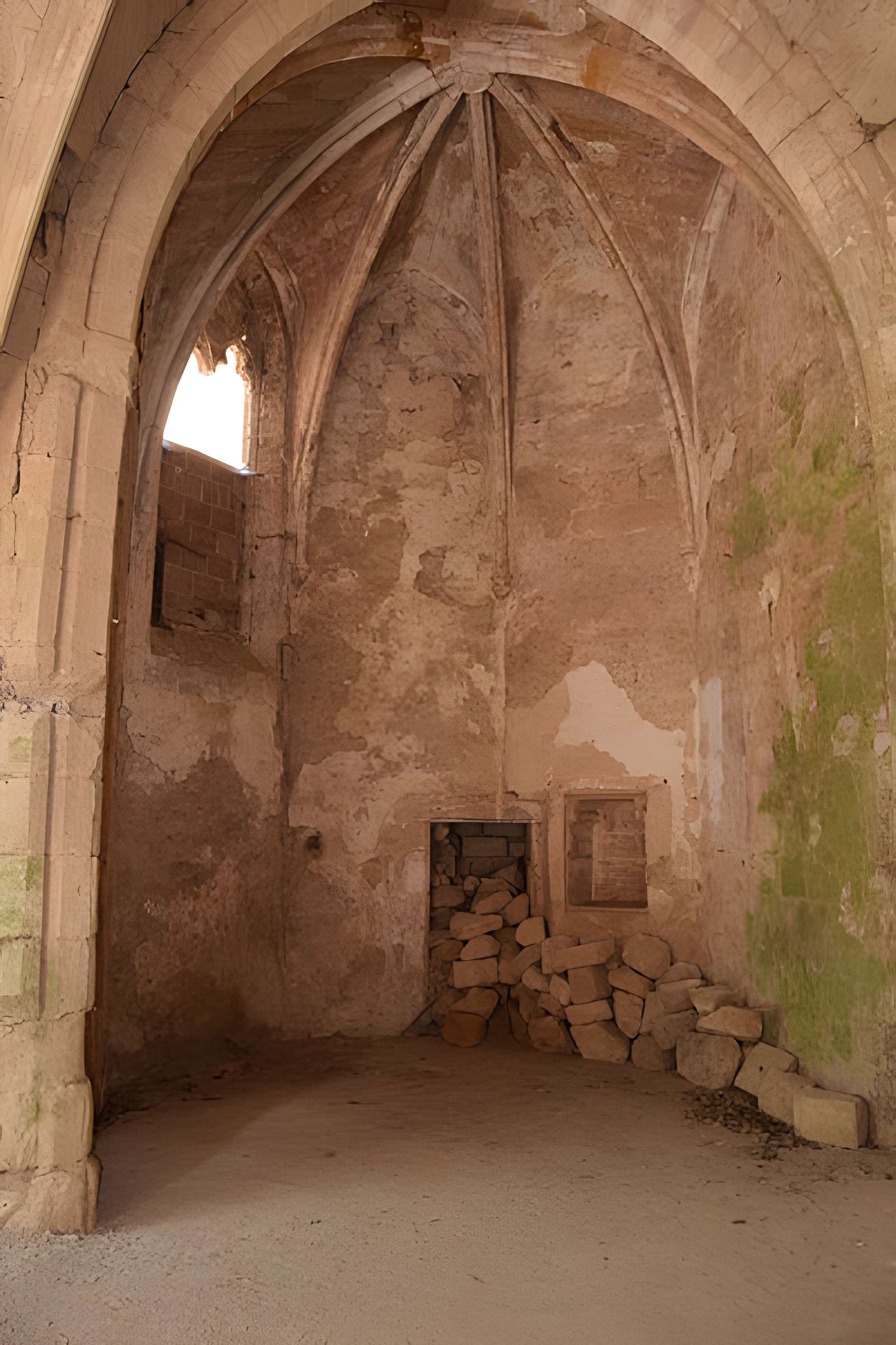 Abbaye d'Alet-les-Bains