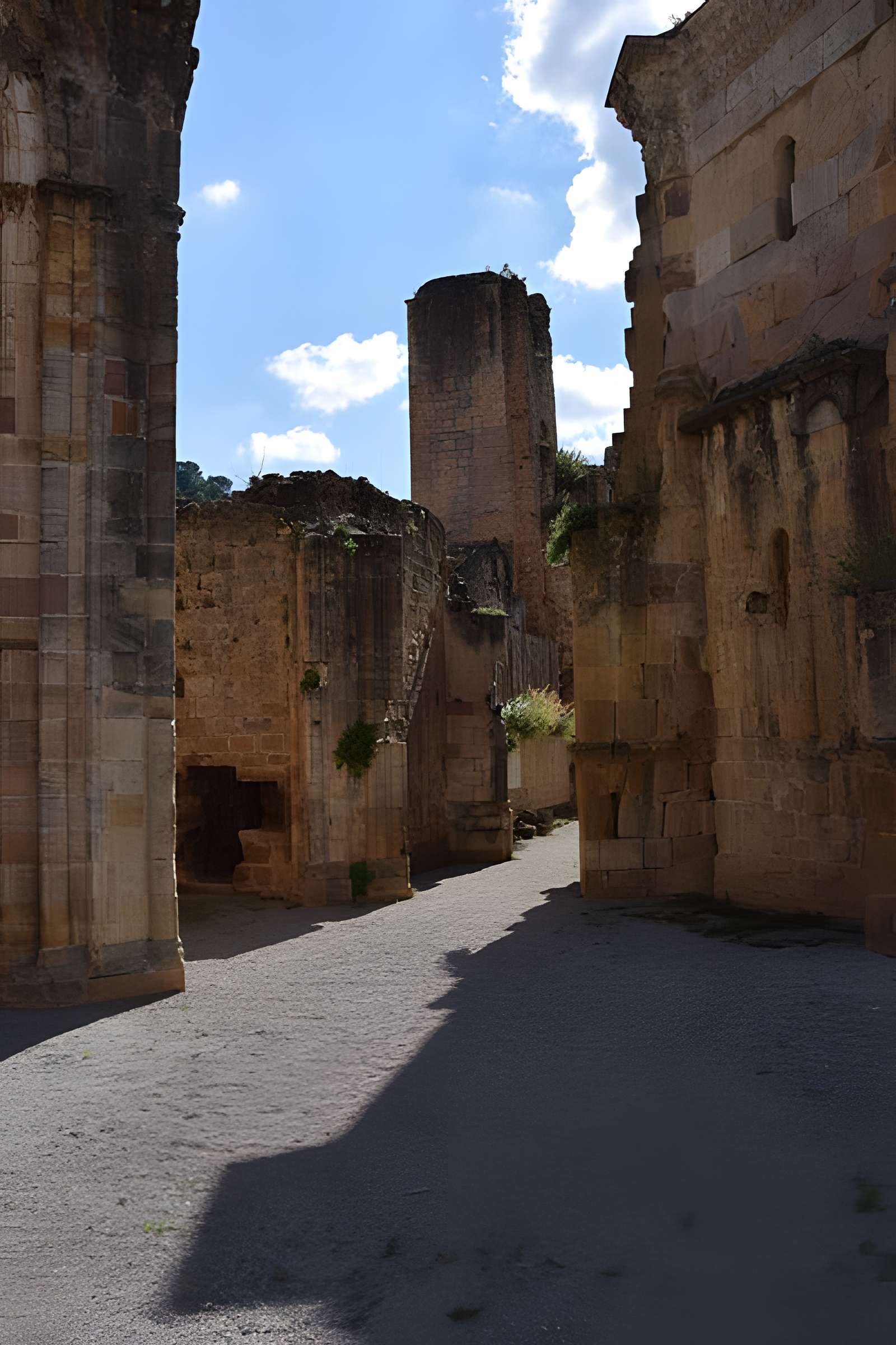 Abbaye d'Alet-les-Bains