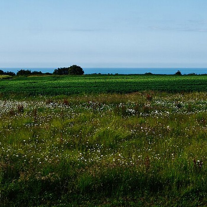 Photo de Batterie allemande de Longues sur Mer