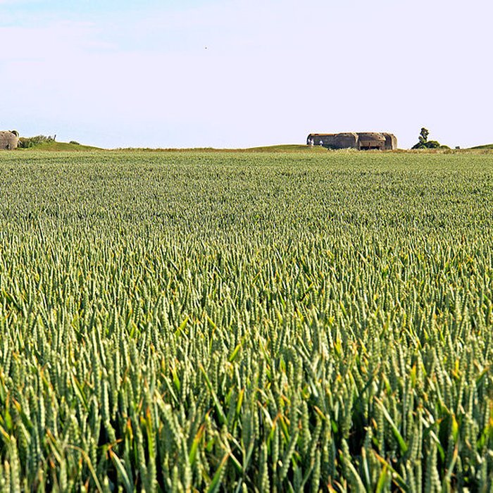 Photo de Batterie allemande de Longues sur Mer