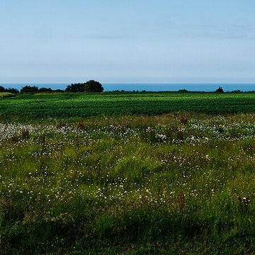 Batterie allemande de Longues sur Mer
