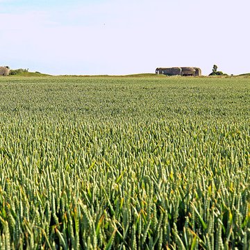 Batterie allemande de Longues sur Mer
