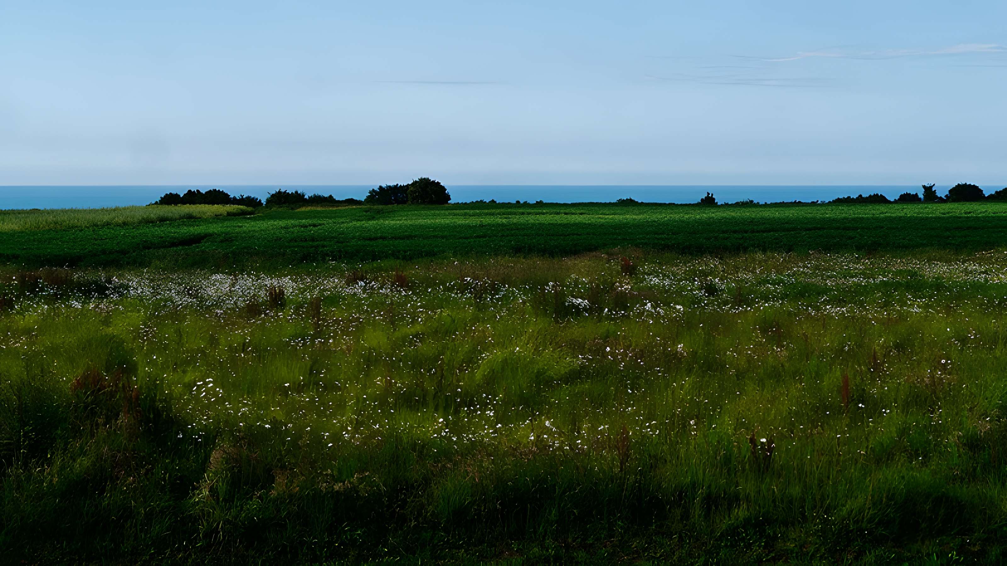 Batterie allemande de Longues sur Mer