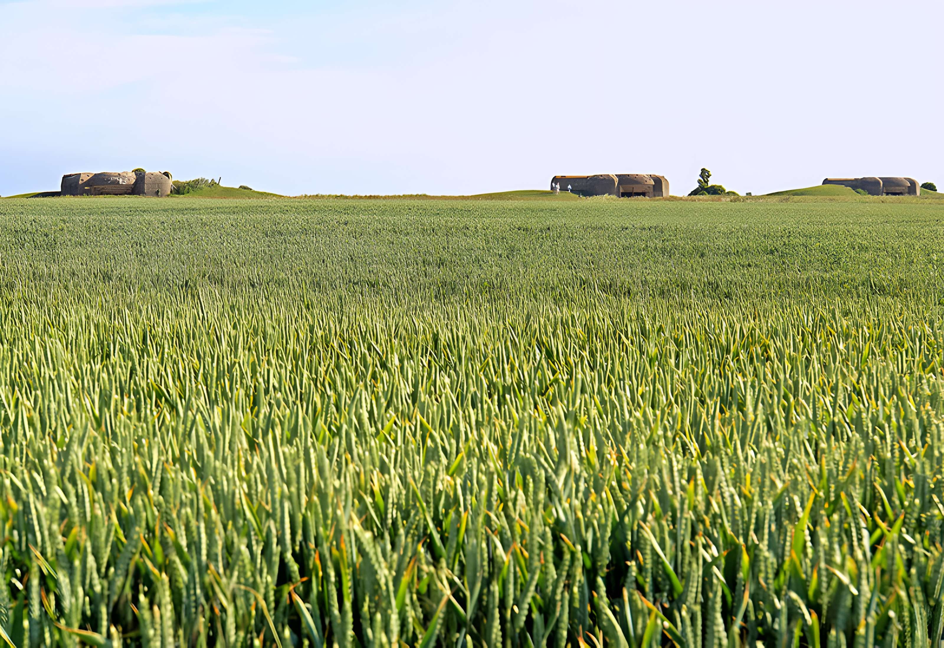 Batterie allemande de Longues sur Mer