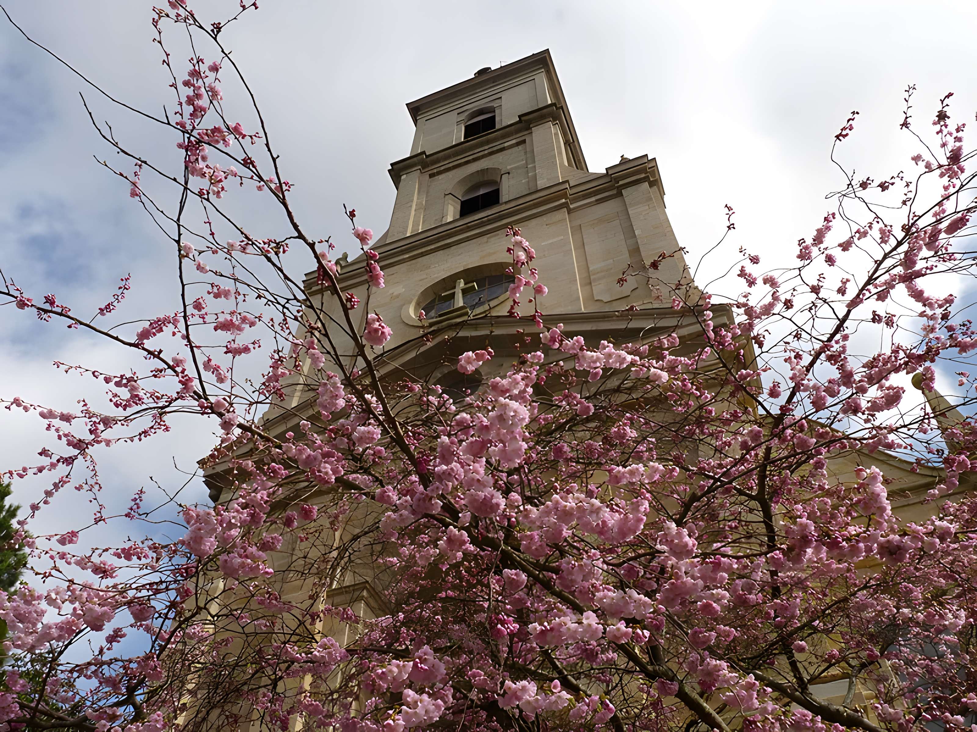 Église Saint-Patern de Vannes