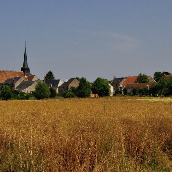 Photo de Église Saint-Pierre de Bommiers