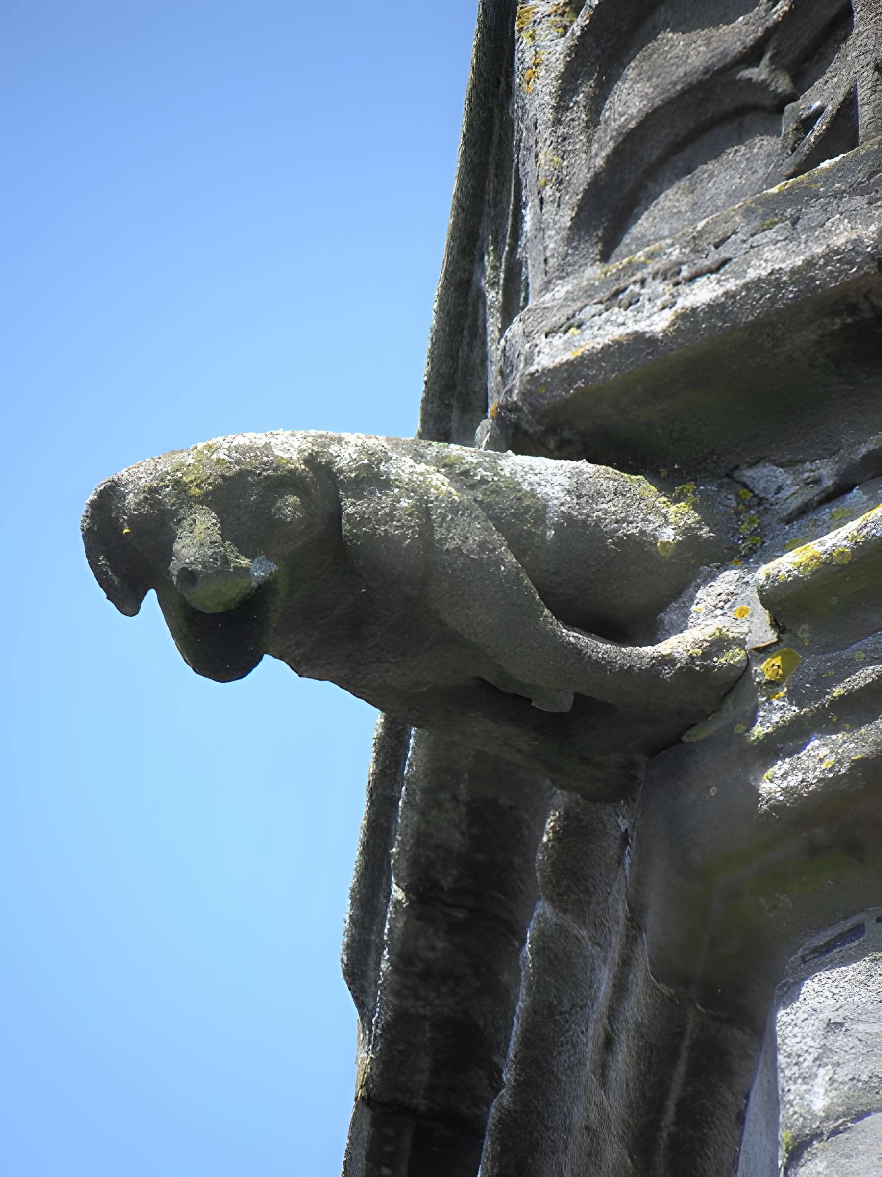 Beffroi de Fougères