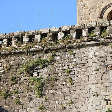 Église Saint-Pierre de Cavanac