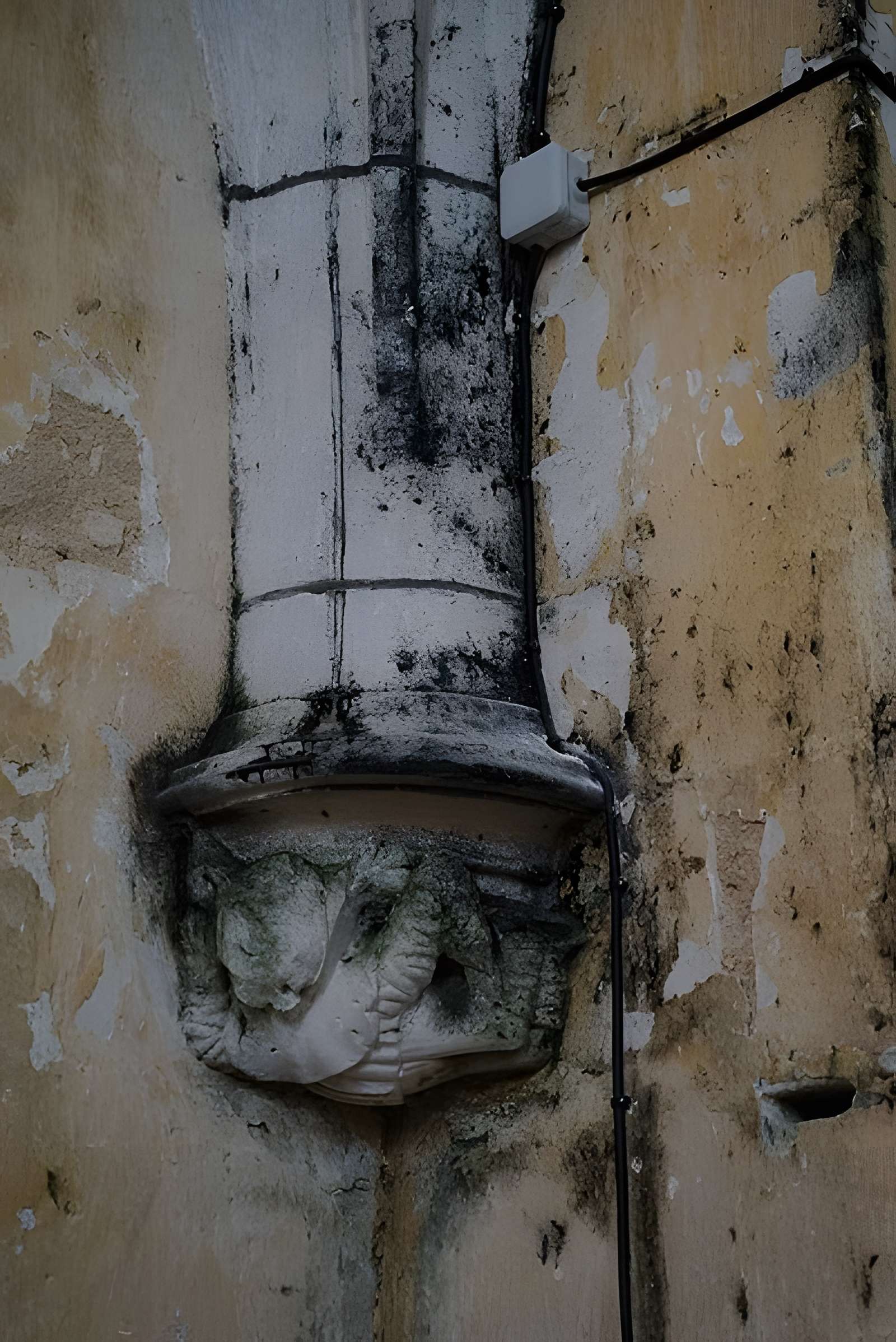 Église Saint-Pierre de Fléac-sur-Seugne