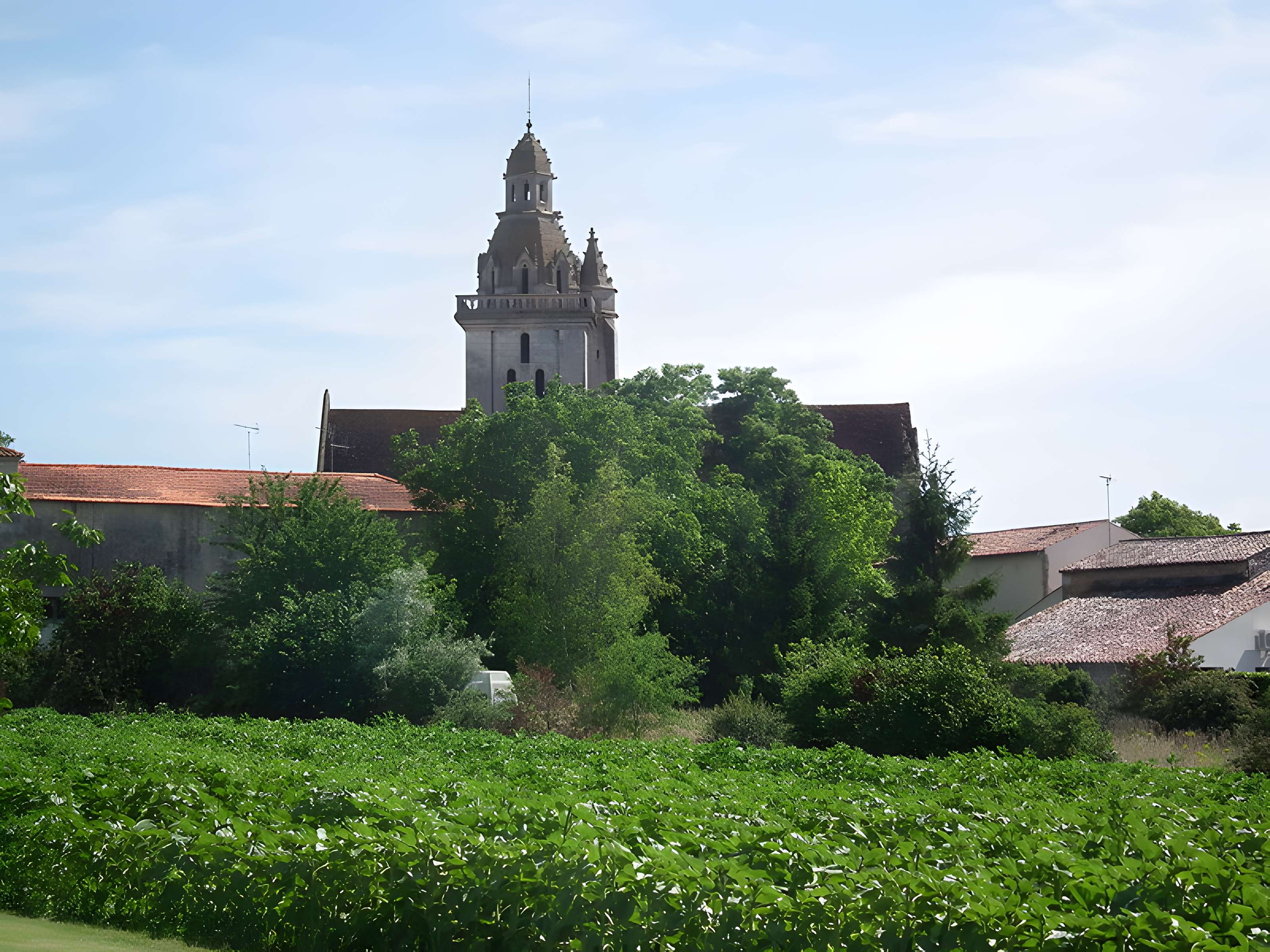 Église Saint-Pierre de Fléac-sur-Seugne