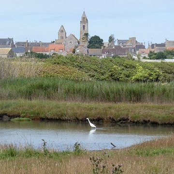 Église Saint-Pierre de Gatteville-le-Phare