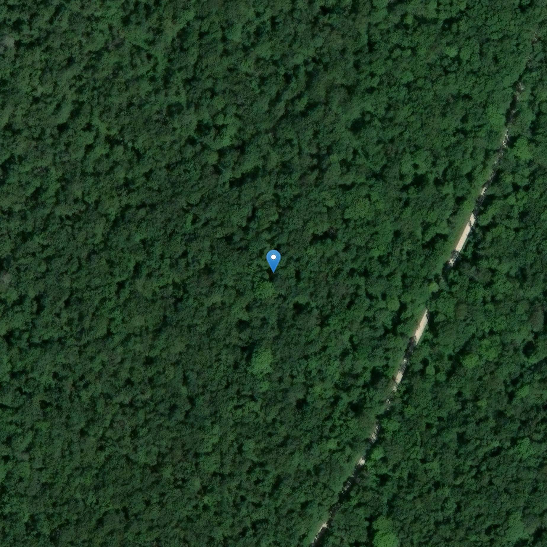 Photo de Maisey-le-Duc Forest Bornes