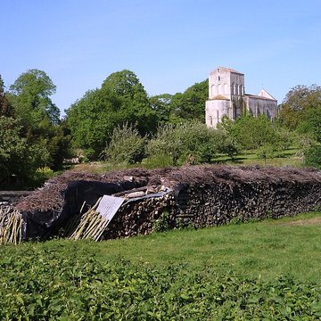 Église Saint-Pierre de Lozay