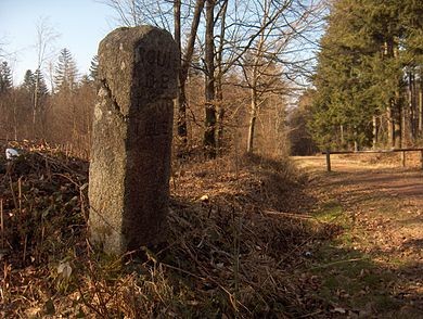 Photo de Bornes de la forêt d'Écouves