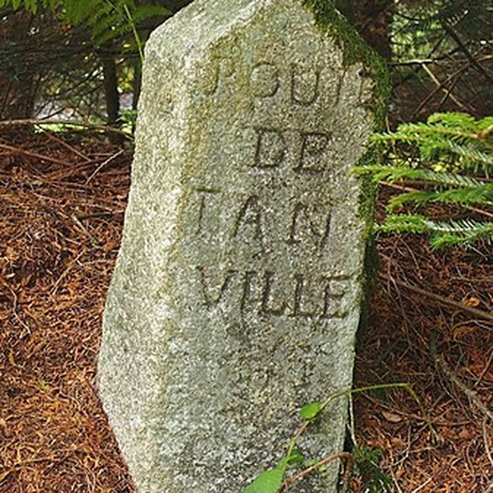 Photo de 80 bornes de la forêt dEcouves également sur communes de Le Bouillon, La Chapelle-près-Sées, Fontenai-les-Louvets, La Lande-de-Goult, Radon, Rouperroux, Saint-Didier-sous-Ecouves, Saint-Gervais-du-Perron, Saint-Nicolas-des-Bois, Tanville et Vingt-Hanaps
