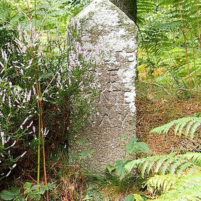 Photo de 80 bornes de la forêt dEcouves également sur communes de Le Bouillon, La Chapelle-près-Sées, Fontenai-les-Louvets, La Lande-de-Goult, Radon, Rouperroux, Saint-Didier-sous-Ecouves, Saint-Gervais-du-Perron, Saint-Nicolas-des-Bois, Tanville et Vingt-Hanaps