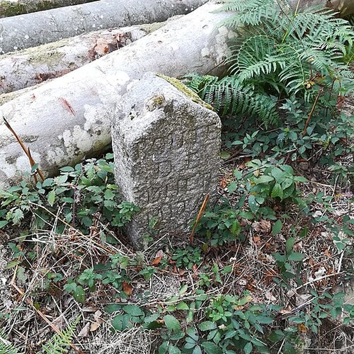 Photo de 80 bornes de la forêt dEcouves également sur communes de Le Bouillon, La Chapelle-près-Sées, Fontenai-les-Louvets, La Lande-de-Goult, Radon, Rouperroux, Saint-Didier-sous-Ecouves, Saint-Gervais-du-Perron, Saint-Nicolas-des-Bois, Tanville et Vingt-Hanaps
