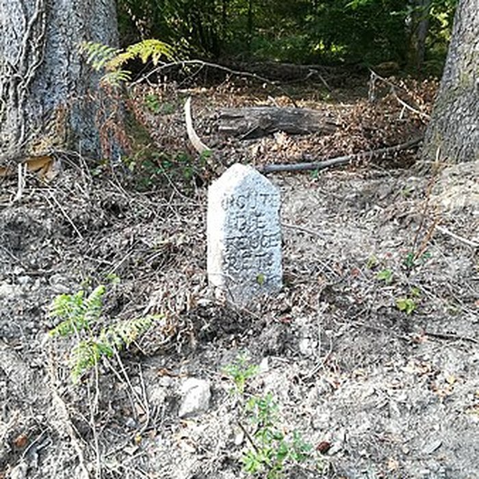 Photo de 80 bornes de la forêt dEcouves également sur communes de Le Bouillon, La Chapelle-près-Sées, Fontenai-les-Louvets, La Lande-de-Goult, Radon, Rouperroux, Saint-Didier-sous-Ecouves, Saint-Gervais-du-Perron, Saint-Nicolas-des-Bois, Tanville et Vingt-Hanaps
