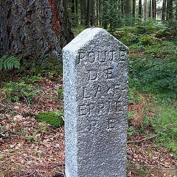 80 bornes de la forêt dEcouves également sur communes de Le Bouillon, La Chapelle-près-Sées, Fontenai-les-Louvets, La Lande-de-Goult, Radon, Rouperroux, Saint-Didier-sous-Ecouves, Saint-Gervais-du-Perron, Saint-Nicolas-des-Bois, Tanville et Vingt-Hanaps