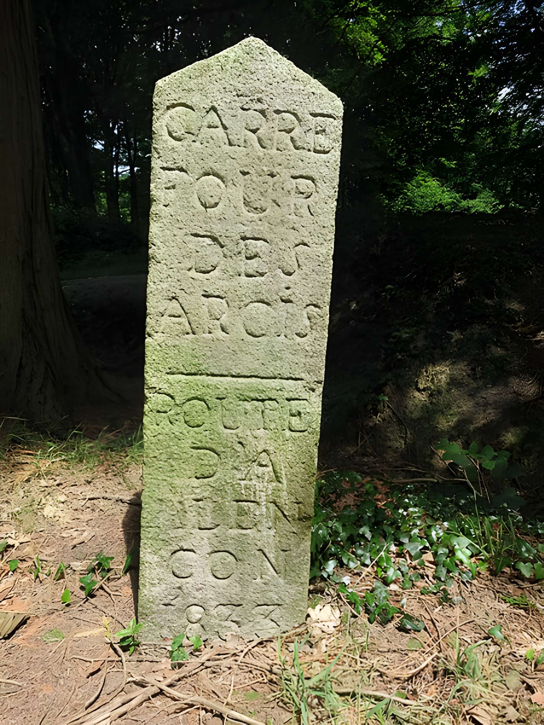 80 bornes de la forêt d'Ecouves (également sur communes de Le Bouillon, La Chapelle-près-Sées, La Ferrière-Béchet, Fontenai-les-Louvets, La Lande-de-Goult, Radon, Rouperroux, Saint-Didier-sous-Ecouves, Saint-Nicolas-des-Bois, Tanville et Vingt-Hanaps)