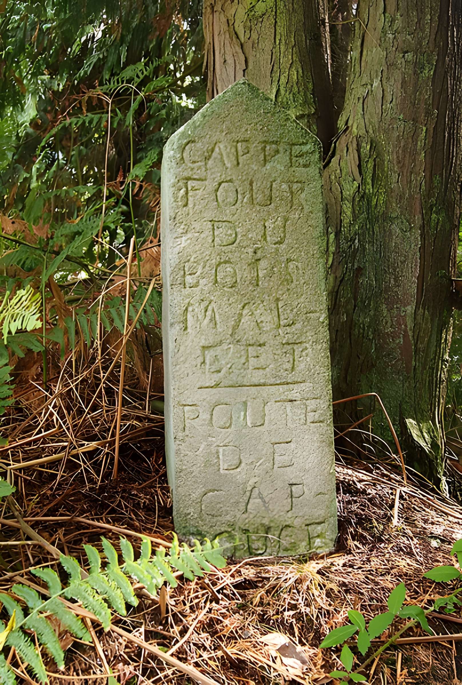 80 bornes de la forêt d'Ecouves (également sur communes de Le Bouillon, La Chapelle-près-Sées, Fontenai-les-Louvets, La Lande-de-Goult, Radon, Rouperroux, Saint-Didier-sous-Ecouves, Saint-Gervais-du-Perron, Saint-Nicolas-des-Bois, Tanville et Vingt-Hanaps