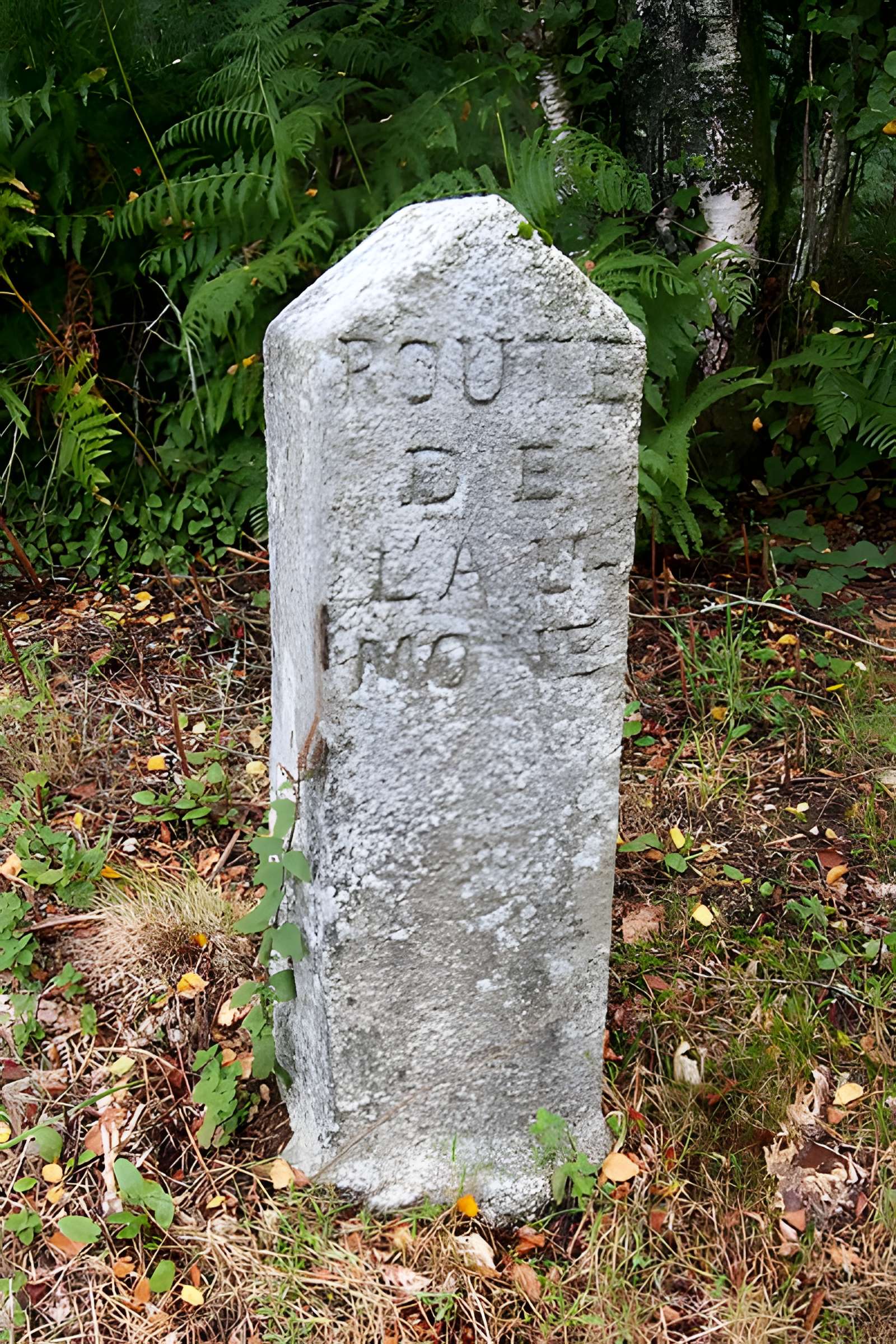 80 bornes de la forêt d'Ecouves (également sur communes de Le Bouillon, La Chapelle-près-Sées, Fontenai-les-Louvets, La Lande-de-Goult, Radon, Rouperroux, Saint-Didier-sous-Ecouves, Saint-Gervais-du-Perron, Saint-Nicolas-des-Bois, Tanville et Vingt-Hanaps