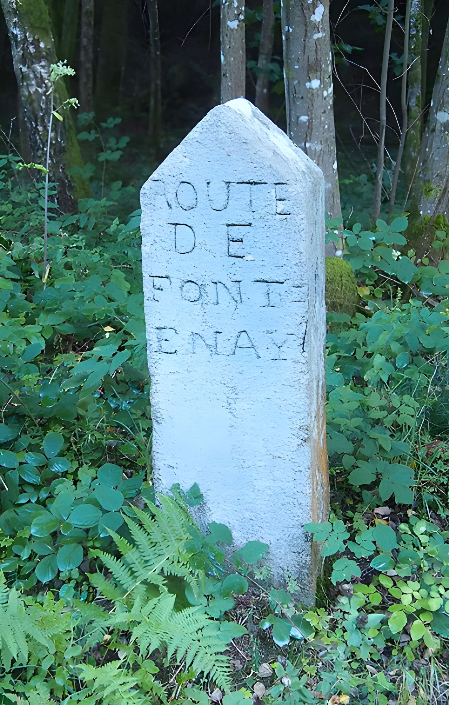 80 bornes de la forêt d'Ecouves (également sur communes de Le Bouillon, La Chapelle-près-Sées, Fontenai-les-Louvets, La Lande-de-Goult, Radon, Rouperroux, Saint-Didier-sous-Ecouves, Saint-Gervais-du-Perron, Saint-Nicolas-des-Bois, Tanville et Vingt-Hanaps