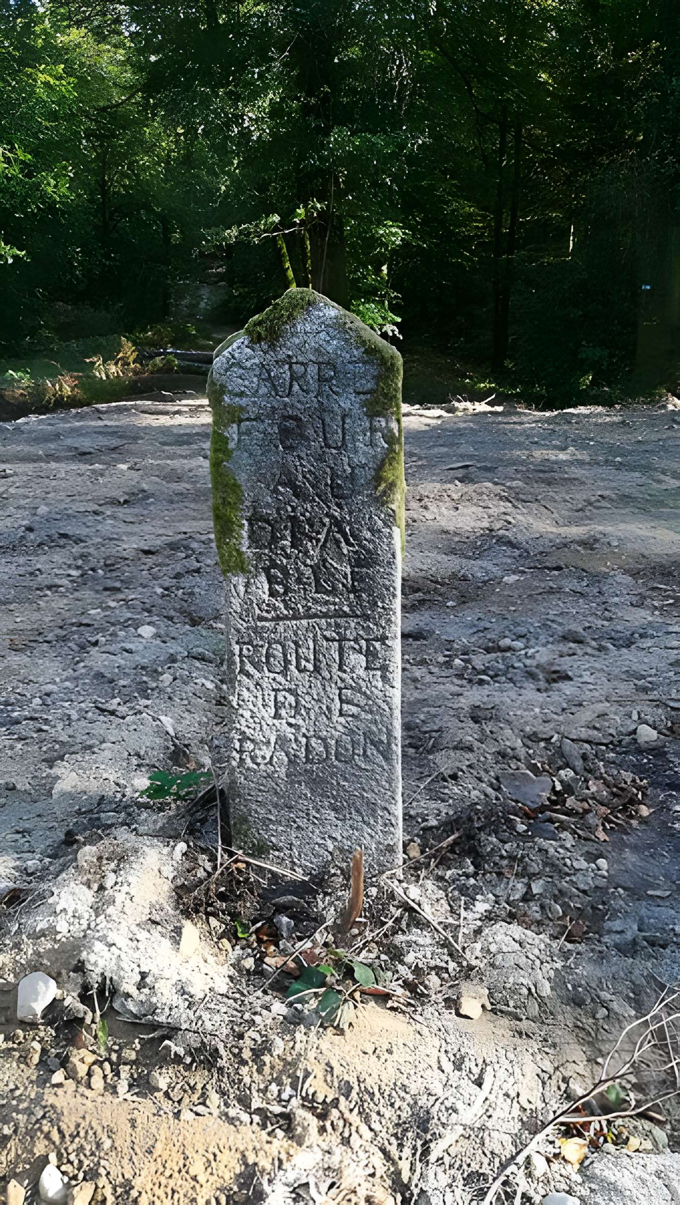 80 bornes de la forêt d'Ecouves (également sur communes de Le Bouillon, La Chapelle-près-Sées, Fontenai-les-Louvets, La Lande-de-Goult, Radon, Rouperroux, Saint-Didier-sous-Ecouves, Saint-Gervais-du-Perron, Saint-Nicolas-des-Bois, Tanville et Vingt-Hanaps