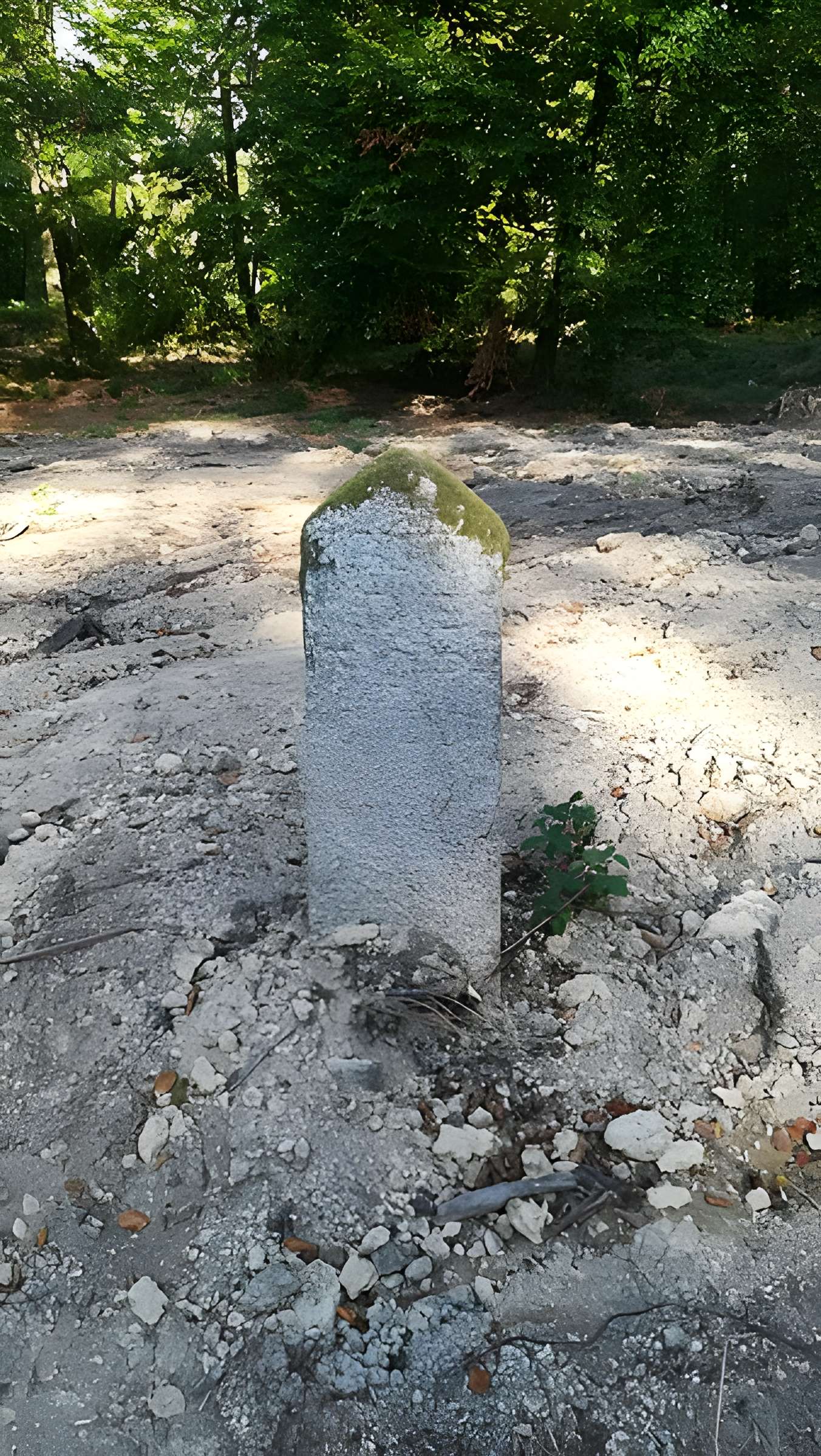 80 bornes de la forêt d'Ecouves (également sur communes de Le Bouillon, La Chapelle-près-Sées, Fontenai-les-Louvets, La Lande-de-Goult, Radon, Rouperroux, Saint-Didier-sous-Ecouves, Saint-Gervais-du-Perron, Saint-Nicolas-des-Bois, Tanville et Vingt-Hanaps