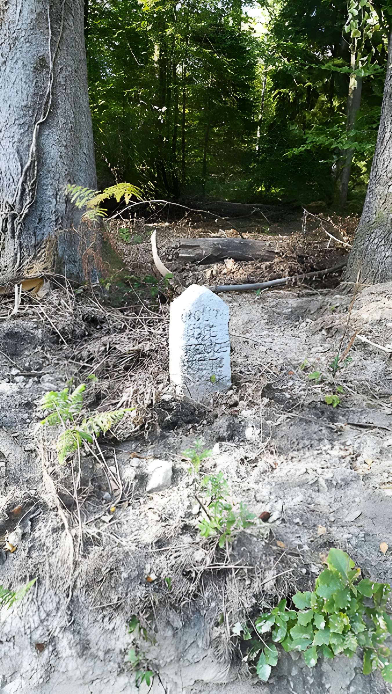 80 bornes de la forêt d'Ecouves (également sur communes de Le Bouillon, La Chapelle-près-Sées, Fontenai-les-Louvets, La Lande-de-Goult, Radon, Rouperroux, Saint-Didier-sous-Ecouves, Saint-Gervais-du-Perron, Saint-Nicolas-des-Bois, Tanville et Vingt-Hanaps
