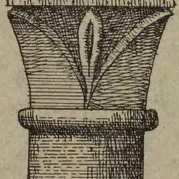 Église Saint-Pierre de Montfort-lAmaury