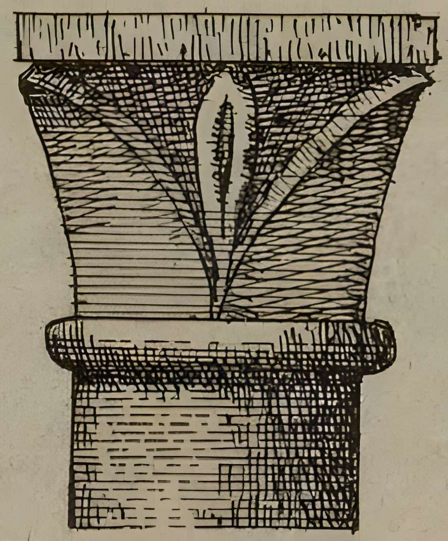 Église Saint-Pierre de Montfort-l'Amaury
