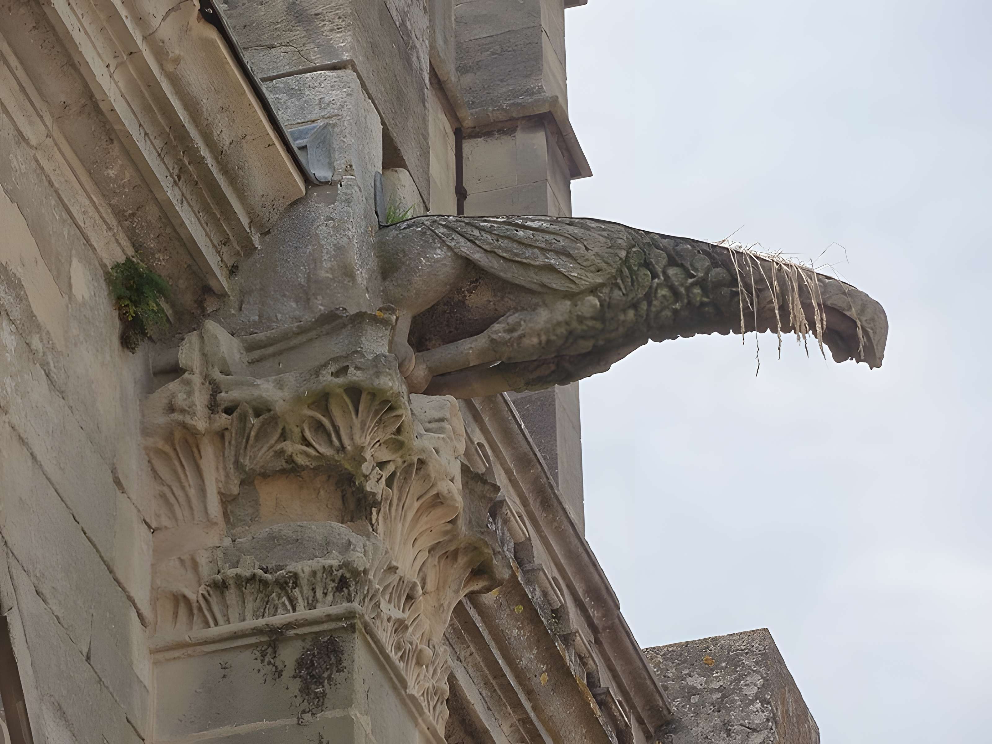 Église Saint-Pierre de Montfort-l'Amaury