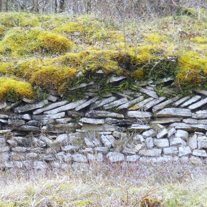 Photo de Camp antique de Cora à Saint-Moré