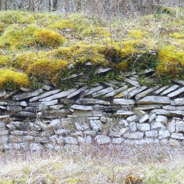 Camp antique de Cora à Saint-Moré