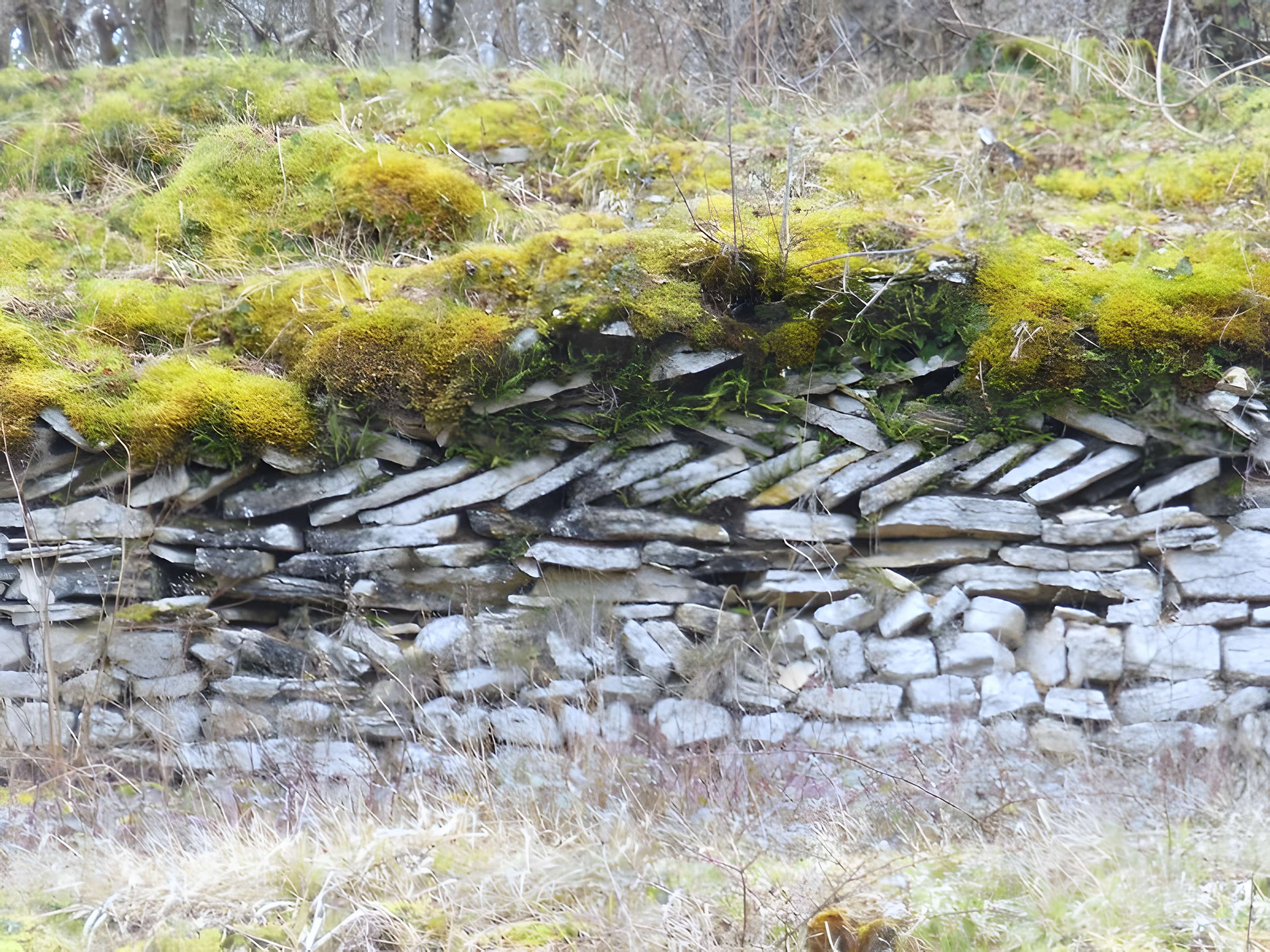 Camp antique de Cora à Saint-Moré