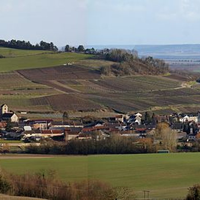 Photo de Église Saint-Pierre de Prouilly