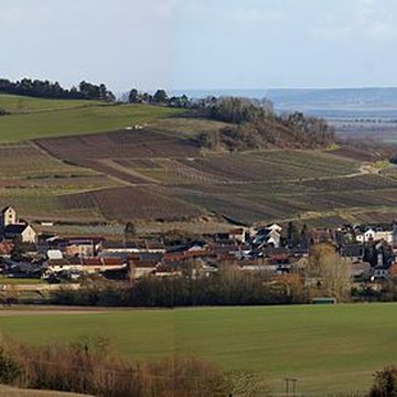 Église Saint-Pierre de Prouilly