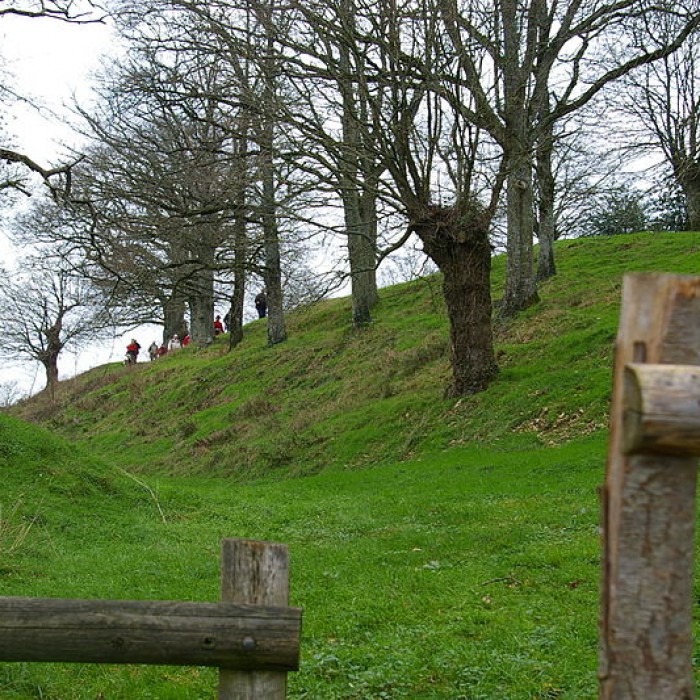 Photo de Camp de Beugy de Sainte-Suzanne