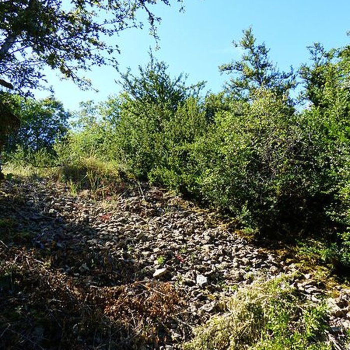 Photo de Camp préhistorique de Chassey-le-Camp