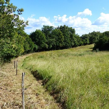Camp préhistorique de Chassey-le-Camp