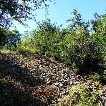 Camp préhistorique de Chassey-le-Camp