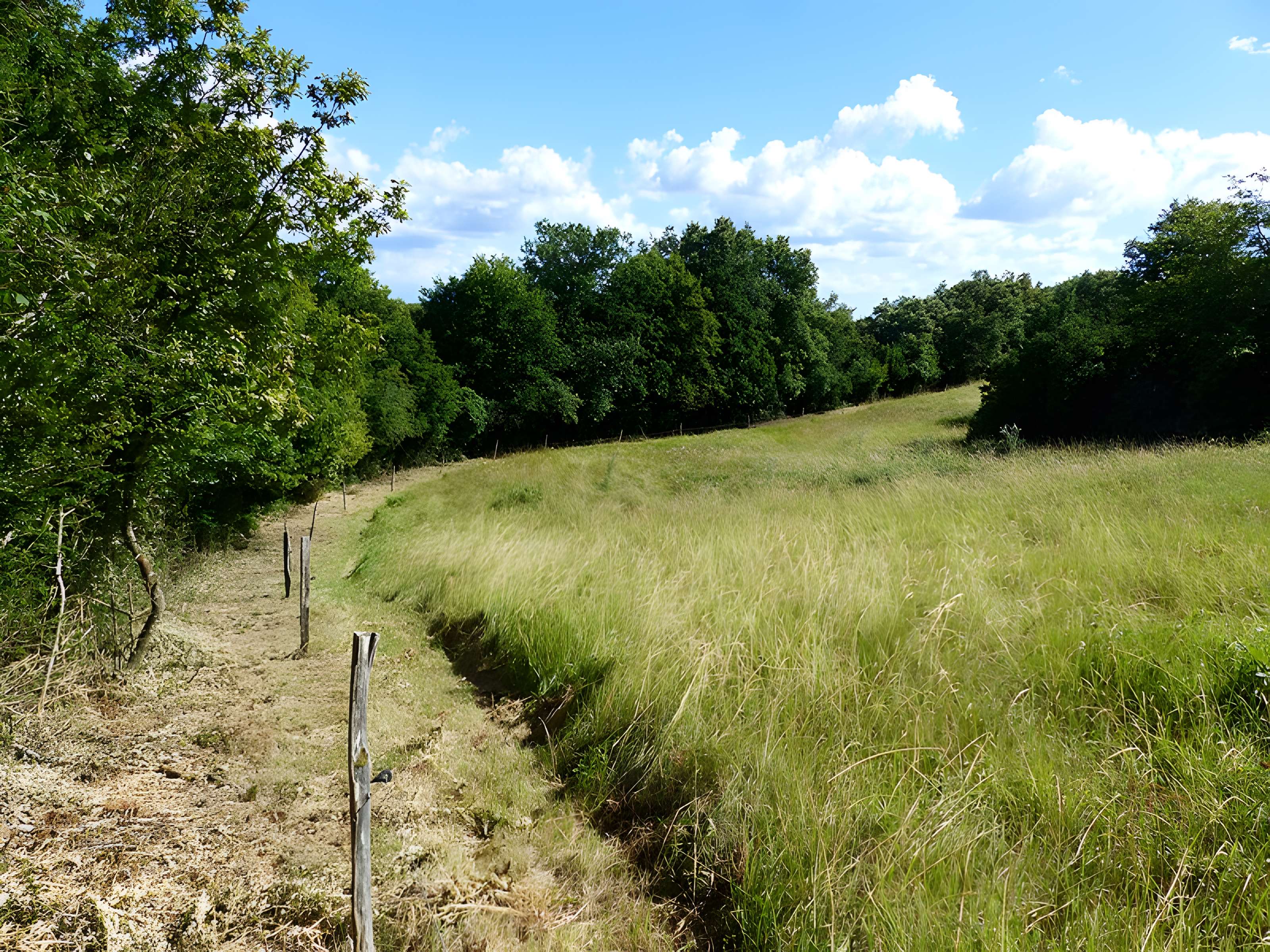 Camp préhistorique de Chassey-le-Camp